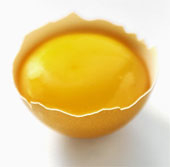 Yolk